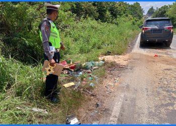 Menggala.lappung.com