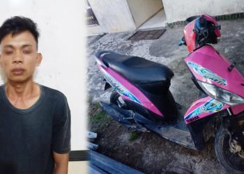 Warga asal Kampung Penawar Rejo yang ditangkap polisi karena diduga setubuhi pelajar SMP. Foto: Arsip Polsek Banjar Agung.