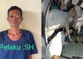 3 Pencuri Kambing Asal Ogan Ilir Ditangkap